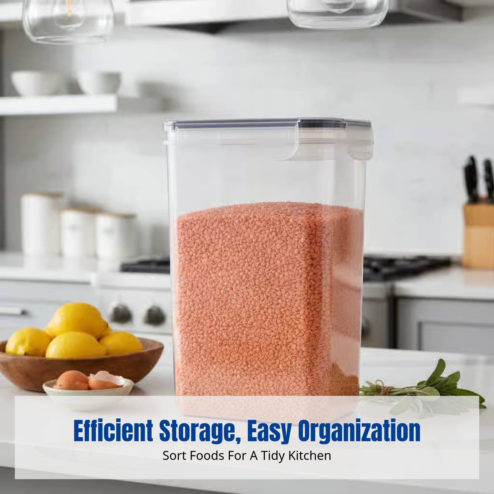 Food Storage Containers - Airtight Food Storage Container Set, Large